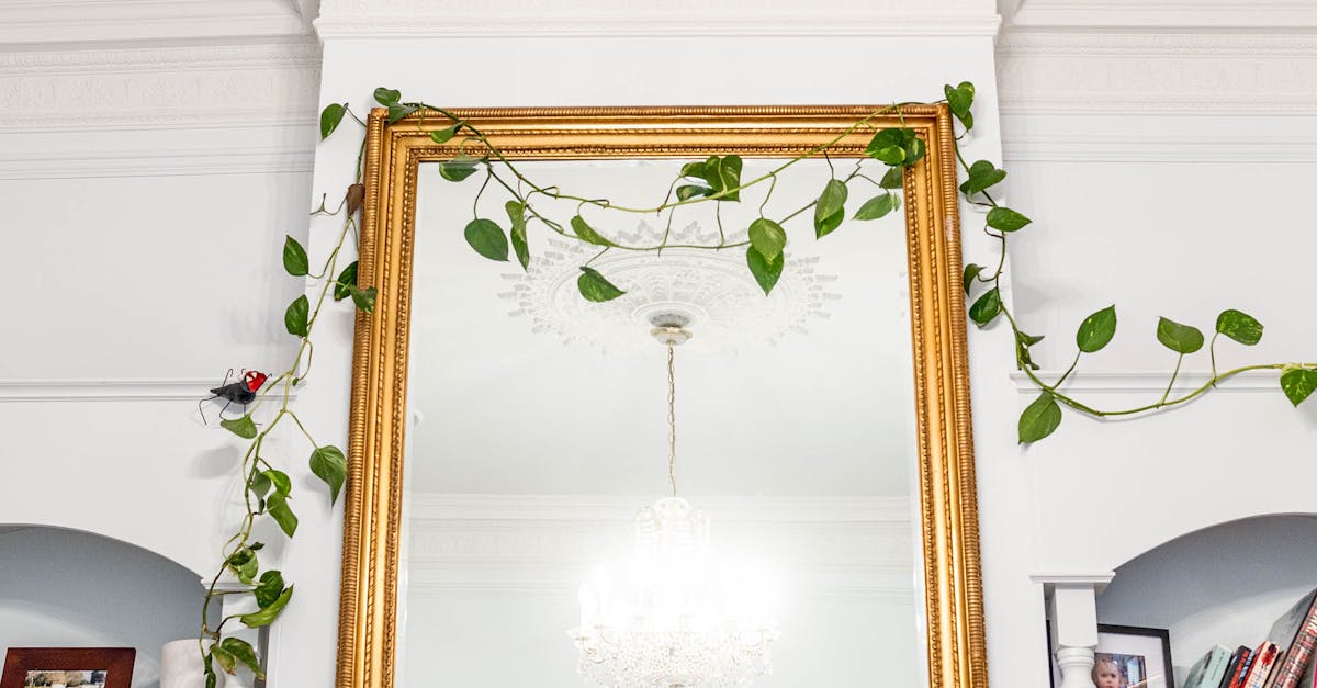 Identifying Roof Leaks in Melbourne Homes