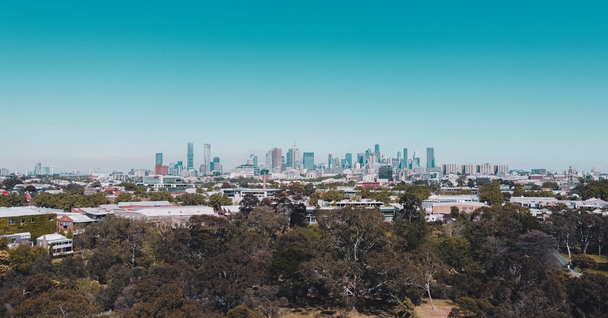 Top Strategies for Successful Commercial Roof Repairs