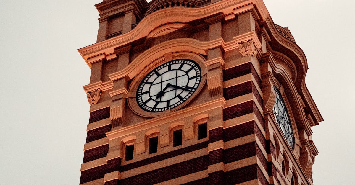 Understanding Roof Moss and Algae Growth